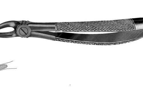 Cleste stomatologic Nr 7 Щ-171 (SD-0204-07)