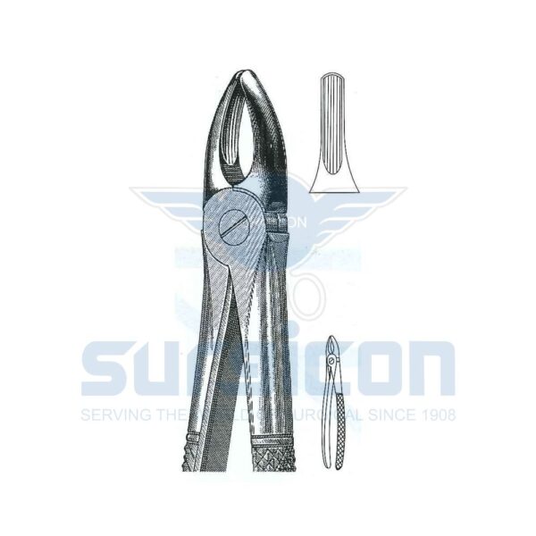 English-Pattern-Extraction-Forcep-SD-0201-02.jpg Cleste stomatologic SD-0201-02 Premolarii de jos si laterali