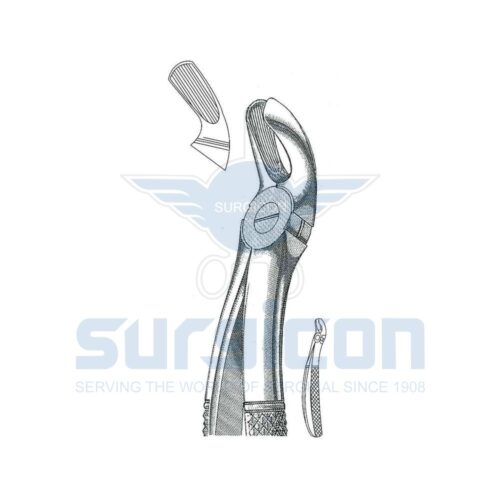 Cleste stomatologic SD-0212-19 molarul superior, dreapta