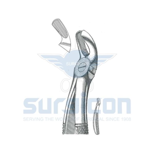 English-Pattern-Extraction-Forcep-SD-0212-19.jpg Cleste stomatologic SD-0212-19 molarul superior, dreapta
