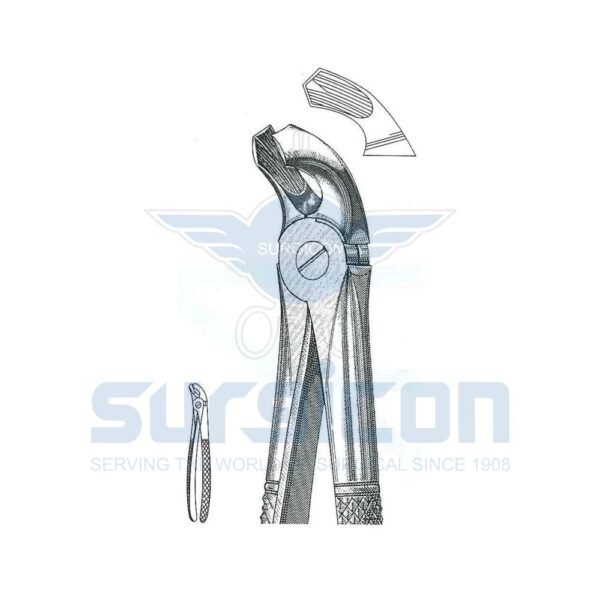 English-Pattern-Extraction-Forcep-SD-0214-21.jpg Cleste stomatologic SD-0214-21 Molari inferiori, de fiecare parte