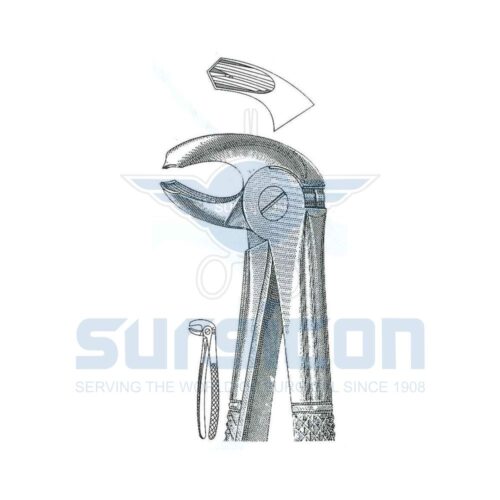 Cleste stomatologic SD-0219-24 Molari inferiori, stânga