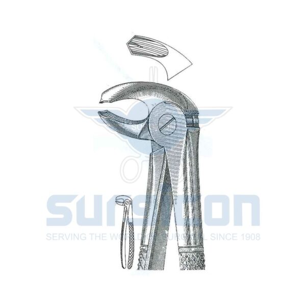 English-Pattern-Extraction-Forcep-SD-0219-24.jpg Cleste stomatologic SD-0219-24 Molari inferiori, stânga