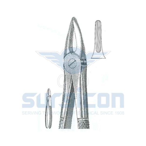 English-Pattern-Extraction-Forcep-SD-0220-29.jpg Cleste stomatologic SD-0220-29 Incisivii și rădăcinile superioare, de ambele părți. Pentru copii