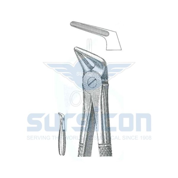 Cleste stomatologic SD-0225-31 Rădăcini inferioare, de ambele părți