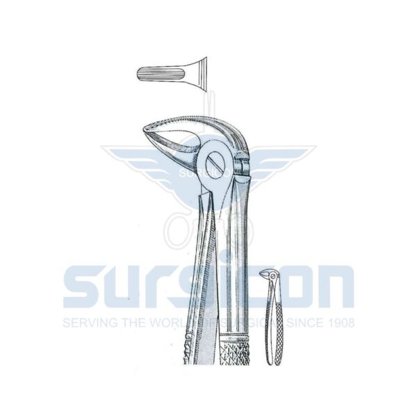 English-Pattern-Extraction-Forcep-SD-0231-33S.jpg Cleste stomatologic SD-0231-33S Pentru rădăcinile inferioare, pe ambele părți