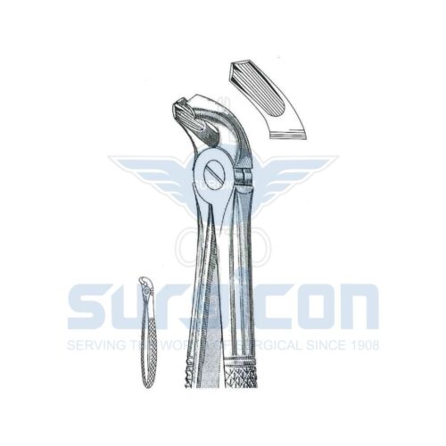 English-Pattern-Extraction-Forcep-SD-0238-40.jpg Cleste stomatologic SD-0238-40 Molari inferiori, pe ambele părți Pentru copii