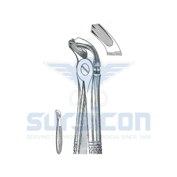 Cleste stomatologic SD-0238-40 Molari inferiori, pe ambele părți Pentru copii