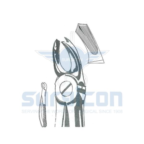 English-Pattern-Extraction-Forcep-SD-0253-65R.jpg Cleste stomatologic SD-0253-65R Molarii superiori dreapta