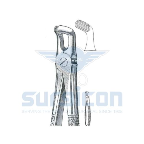 English-Pattern-Extraction-Forcep-SD-0277-79A.jpg Cleste stomatologic SD-0277-79A Pentru molari inferiori din minte, de ambele părți