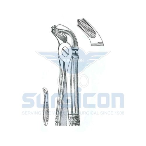 English-Pattern-Extraction-Forcep-SD-0438-40.jpg Cleste stomatologic SD-0438-40