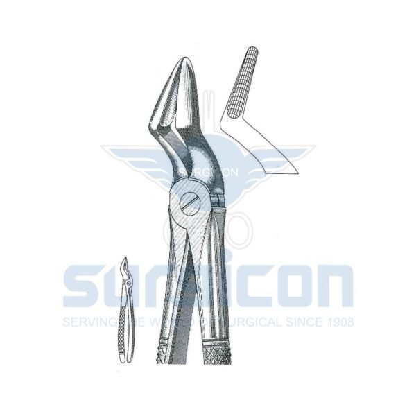 English-Pattern-Extraction-Forcep-SD-0447-52.jpg Cleste stomatologic SD-0447-52 Rădăcini superioare și canini cu ciocul mai lat