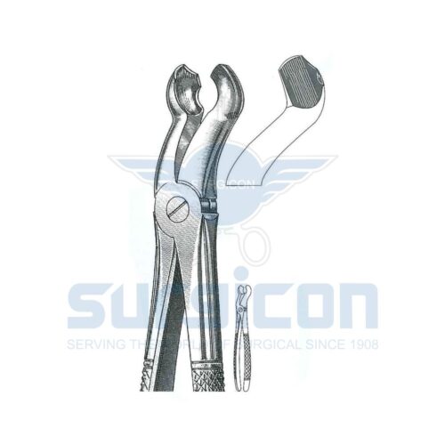 English-Pattern-Extraction-Forcep-SD-0489-121.jpg Cleste stomatologic SD-0489-121 Pentru molari din minte superiori, cu cioc special pentru retinerea dintelui extras