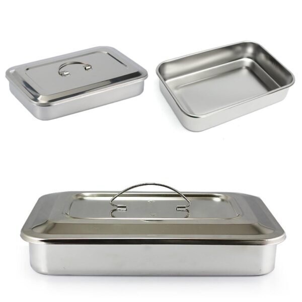 Container pentru sterilizarea instrumentelor